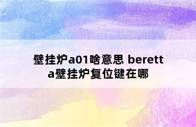 壁挂炉a01啥意思 beretta壁挂炉复位键在哪